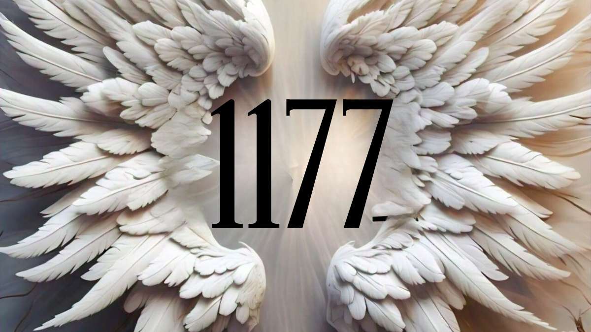 Know About 1177 Angel number