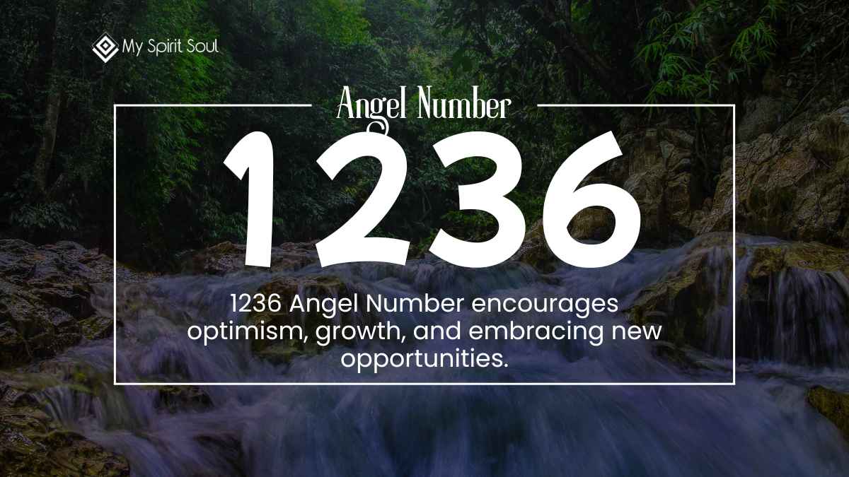 What Does the 1236 Angel Number Mean?