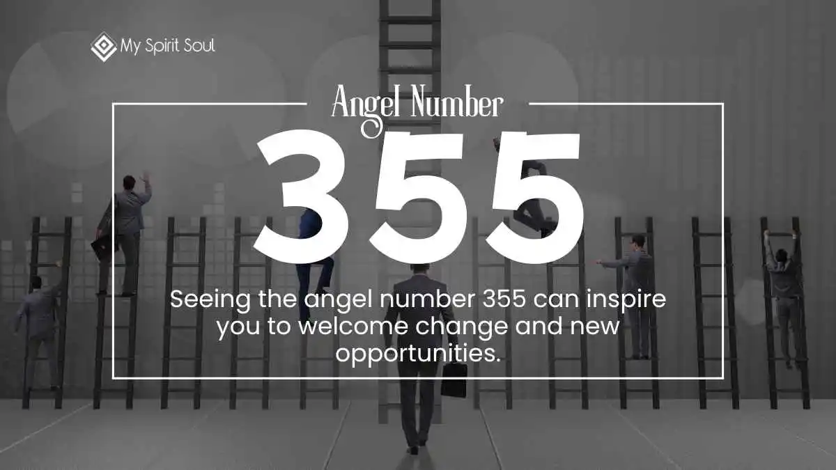 What Does the Mean of 355 Angel Number?